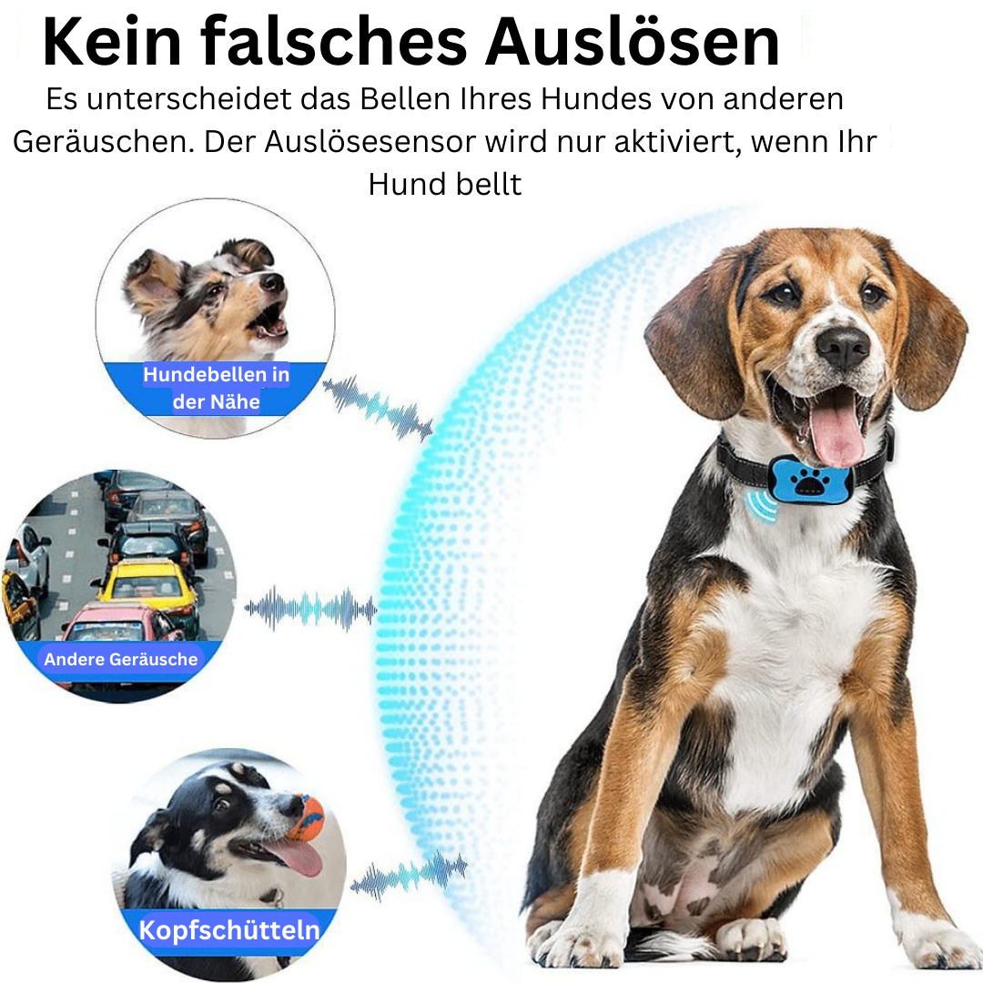 Antibell Buddy- innovatives Anti-Bell Halsband