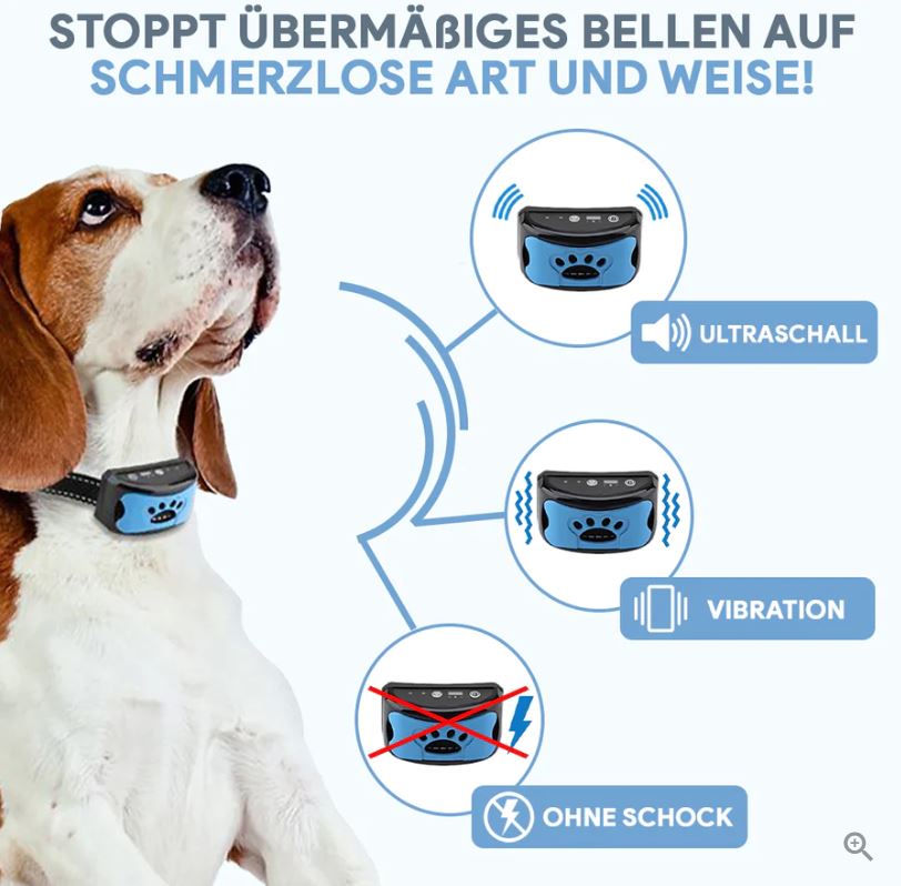 Antibell Buddy- innovatives Anti-Bell Halsband