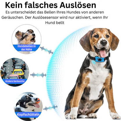 Antibell Buddy- innovatives Anti-Bell Halsband