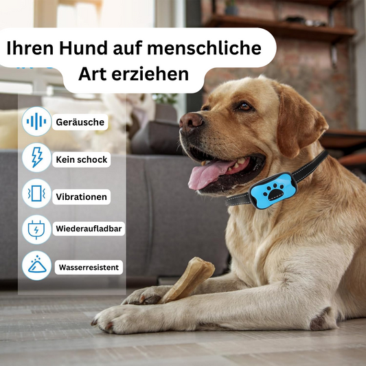 Antibell Buddy- innovatives Anti-Bell Halsband